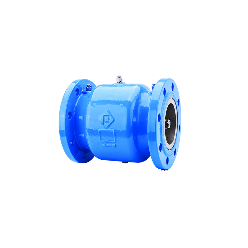 Double Check Valve Backflow Preventer - PL-POWER