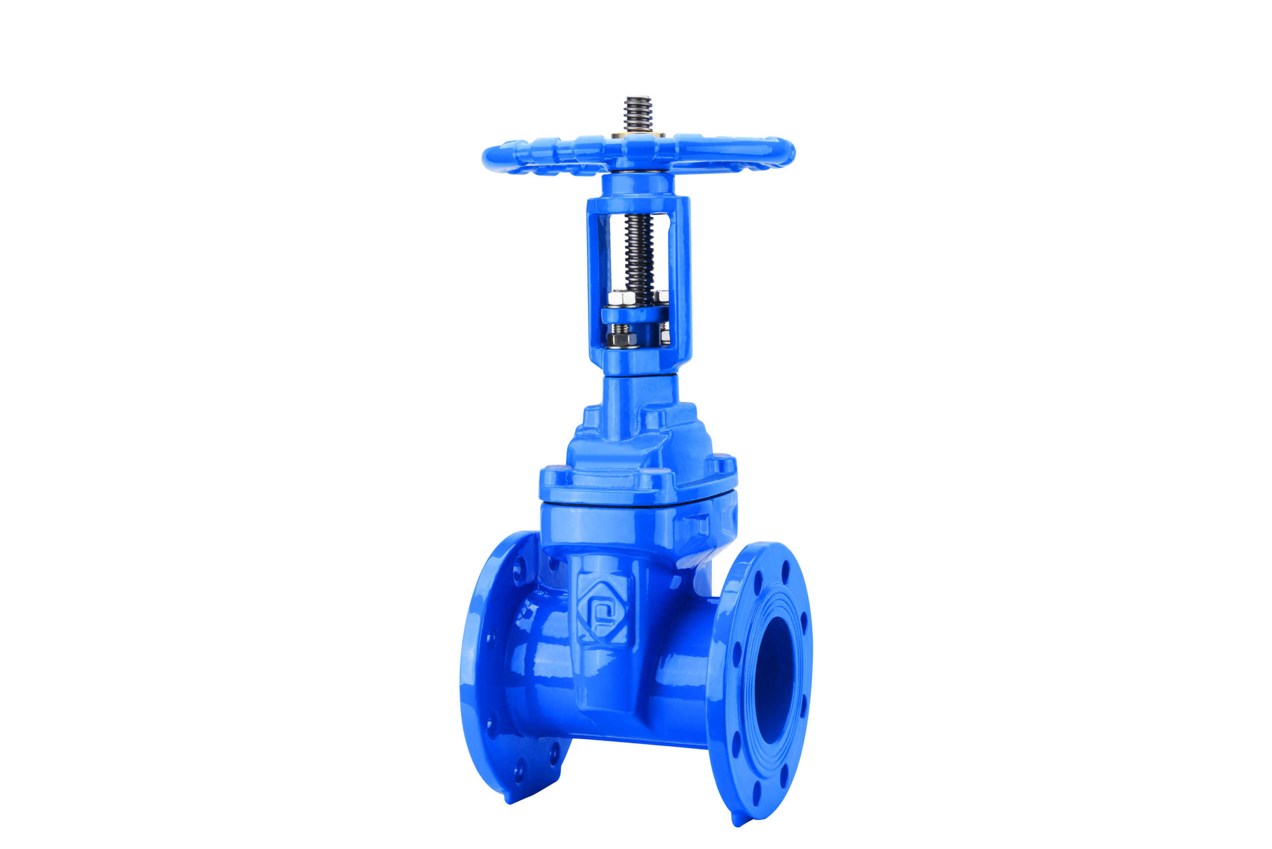 Rising Stem Gate Valve - PL-POWER